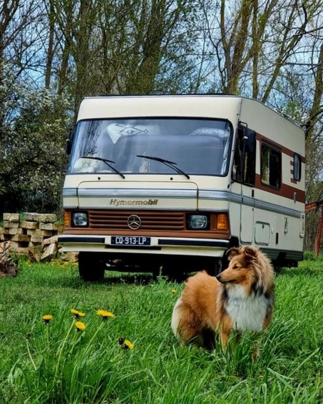 Le camping-car et le chien de Laurie