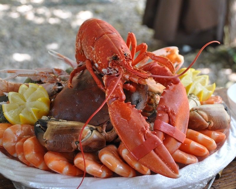 Un homard breton sur un plateau de fruits de mer